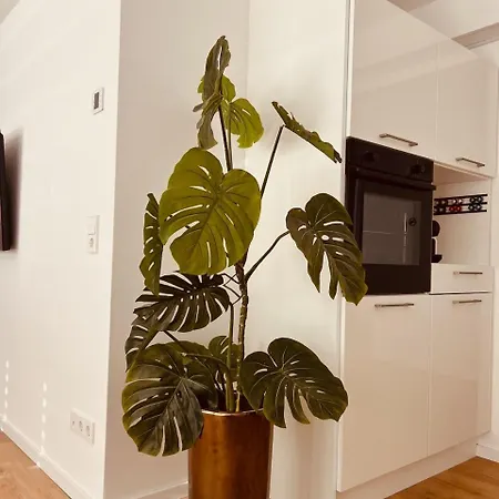 Albloft - Design-wohnung 82 Qm Mit Balkon Und Parkplatz 10 Minuten Nach Tuebingen דירה *