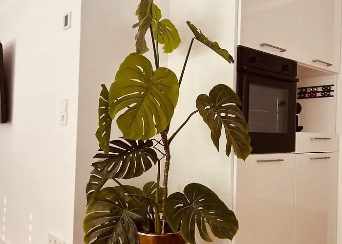 Albloft - Modernes Neues Nahe & Alb Fuer Bis Zu 6 Personen In דירה *